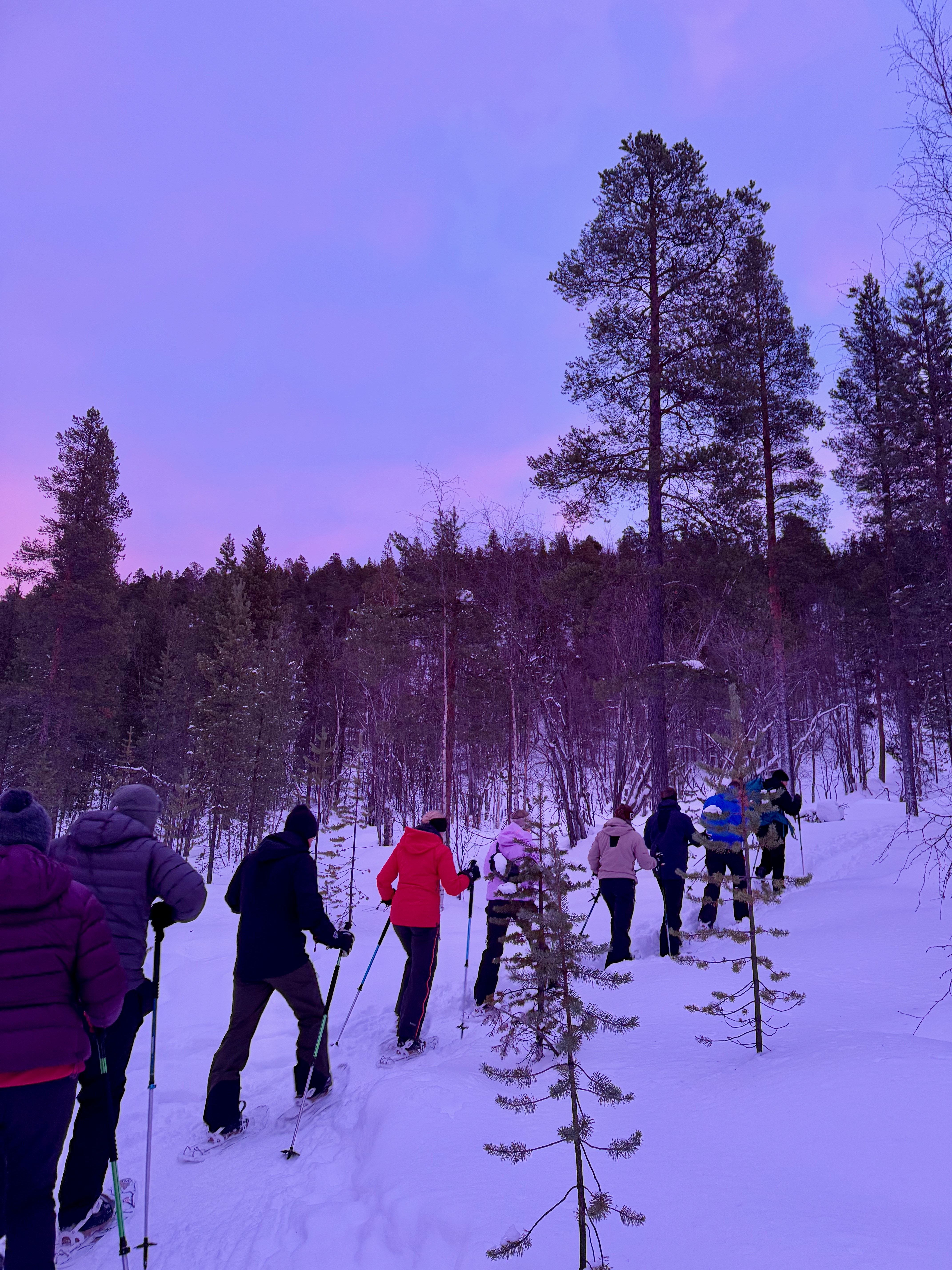 Snowshoeing